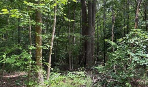 Photo #6 of Lot 23 Rivers Knoll, Heathsville, Virginia 3.5 acres