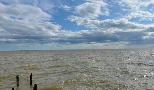 Photo #17 of 167 Webb Street, Hertford, North Carolina 0.4 acres