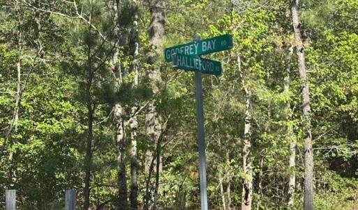 Photo #5 of 2.29 Godfrey Bay Road, Cobbs Creek, Virginia 2.3 acres