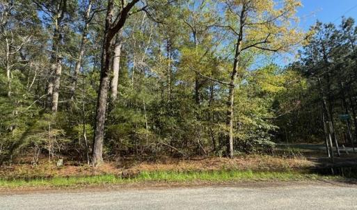 Photo #8 of 2.29 Godfrey Bay Road, Cobbs Creek, Virginia 2.3 acres