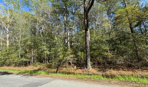 Photo #11 of 2.67 Godfrey Bay Road, Cobbs Creek, Virginia 2.7 acres