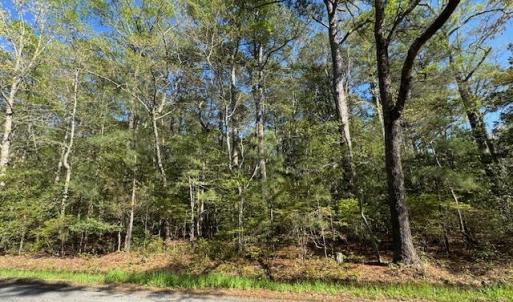 Photo #10 of 2.67 Godfrey Bay Road, Cobbs Creek, Virginia 2.7 acres
