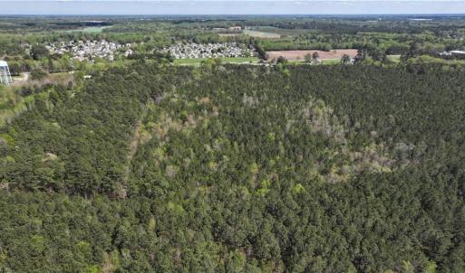 Photo #3 of 15+AC Courthouse Highway, Windsor, Virginia 17.7 acres