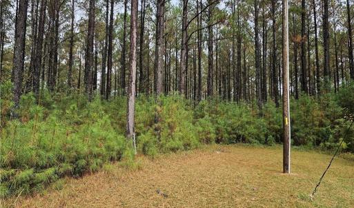 Photo #2 of 3.44ac Carsley Road, Waverly, Virginia 3.4 acres