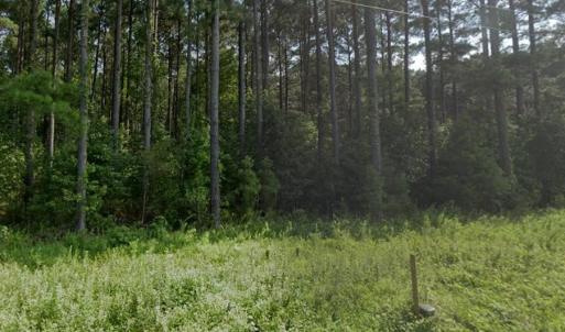Photo #3 of 3.44ac Carsley Road, Waverly, Virginia 3.4 acres