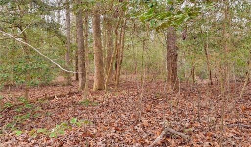 Photo #11 of Lot A Lonesome Pine Trail, Lancaster, Virginia 1.2 acres