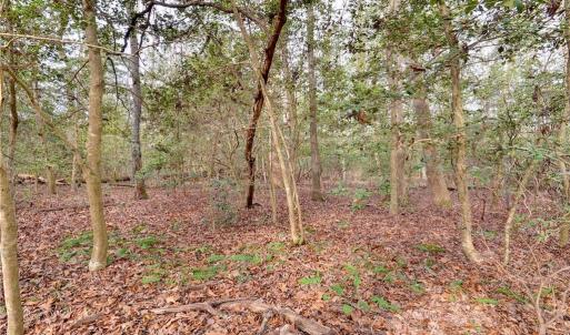 Photo #15 of Lot A Lonesome Pine Trail, Lancaster, Virginia 1.2 acres