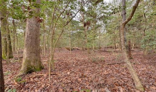 Photo #16 of Lot A Lonesome Pine Trail, Lancaster, Virginia 1.2 acres
