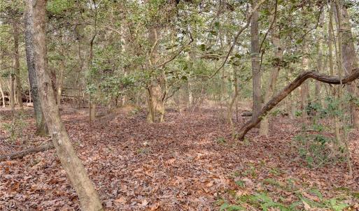Photo #17 of Lot A Lonesome Pine Trail, Lancaster, Virginia 1.2 acres
