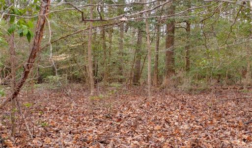 Photo #10 of Lot A Lonesome Pine Trail, Lancaster, Virginia 1.2 acres