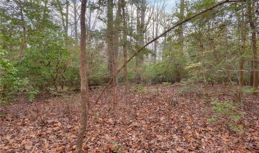 Photo #12 of Lot B Lonesome Pine Trail, Lancaster, Virginia 1.1 acres