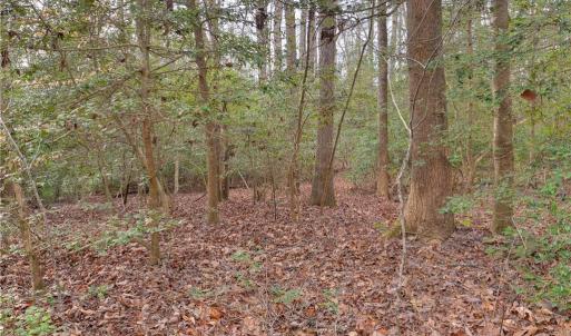 Photo #13 of Lot B Lonesome Pine Trail, Lancaster, Virginia 1.1 acres