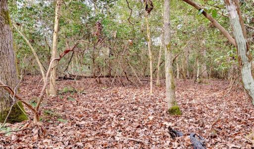 Photo #14 of Lot B Lonesome Pine Trail, Lancaster, Virginia 1.1 acres