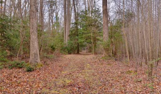 Photo #9 of Lot B Lonesome Pine Trail, Lancaster, Virginia 1.1 acres