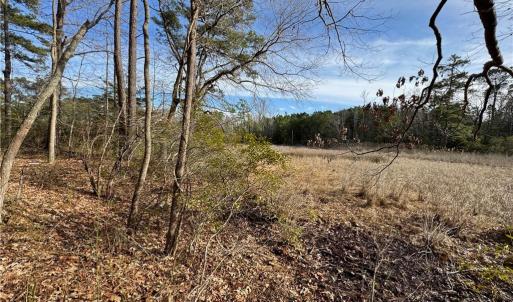 Marsh views