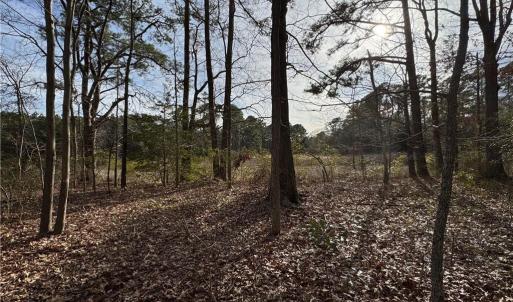 Photo #5 of 6 AC Broad Marsh Lane, Hayes, Virginia 6.0 acres