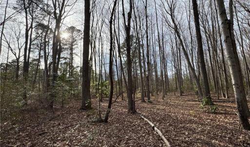 Photo #6 of 6 AC Broad Marsh Lane, Hayes, Virginia 6.0 acres