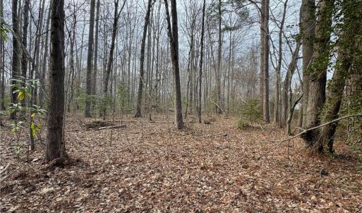 Photo #7 of 6 AC Broad Marsh Lane, Hayes, Virginia 6.0 acres
