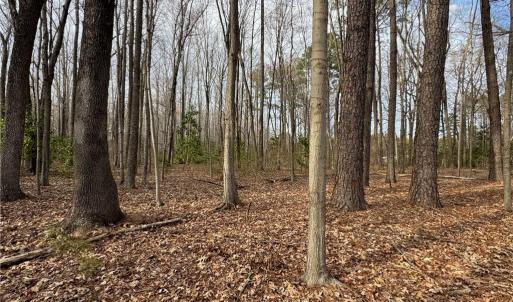 Photo #8 of 6 AC Broad Marsh Lane, Hayes, Virginia 6.0 acres