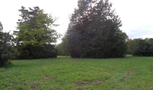 Partially cleared & Partially wooded