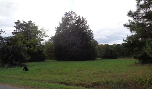 LOT FRONTAGE TO PAVED ROAD. PARTIALLY CLEARED LOT