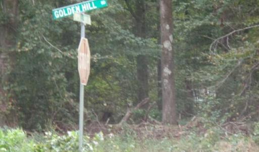 GOLDEN HILL RD (AKA ROUTE 616) IS THE CLOSES INTERSECTION OF CHIPPOKES FARM RD. TO THE LOT