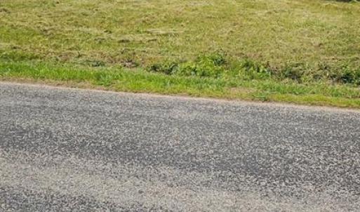 Photo #2 of 42-14 Chippokes Farm Road, Surry, Virginia 28.2 acres