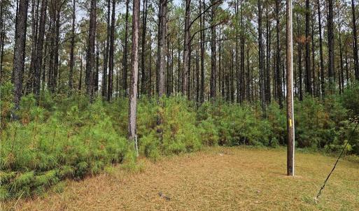 Photo #3 of 4858 Carsley Road, Waverly, Virginia 3.1 acres