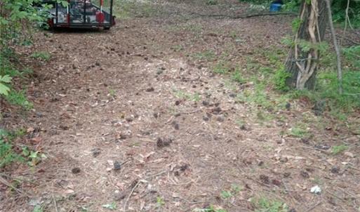 Photo #1 of 3402 Channel Avenue, Portsmouth, Virginia 0.3 acres