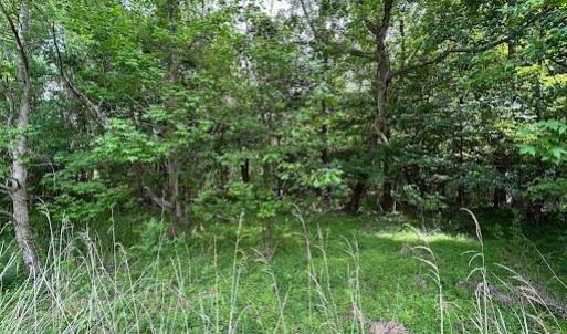 Photo #16 of 2317 Princess Anne Road, Virginia Beach, Virginia 9.7 acres