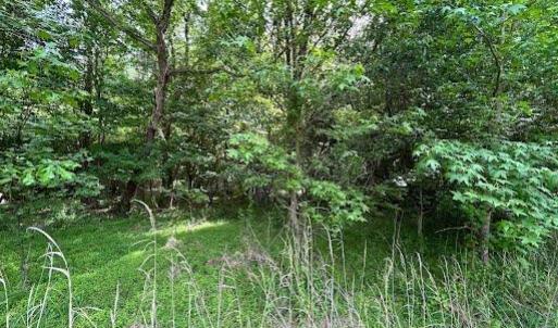Photo #17 of 2317 Princess Anne Road, Virginia Beach, Virginia 9.7 acres