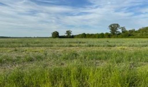 Photo #3 of Lot B Highway 343 North, South Mills, North Carolina 10.0 acres