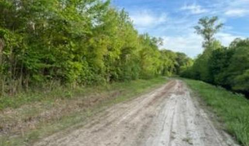 Photo #3 of Lot C South Road, South Mills, North Carolina 10.0 acres