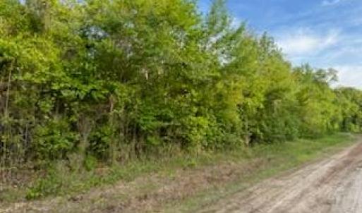 Photo #4 of Lot C South Road, South Mills, North Carolina 10.0 acres