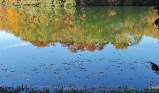 Waters Edge on College Creek