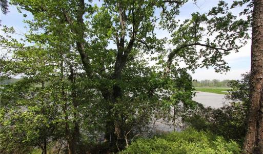 Photo #3 of 1850 John Tyler Highway, Williamsburg, Virginia 46.0 acres