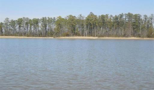 Photo #6 of 1850 John Tyler Highway, Williamsburg, Virginia 46.0 acres