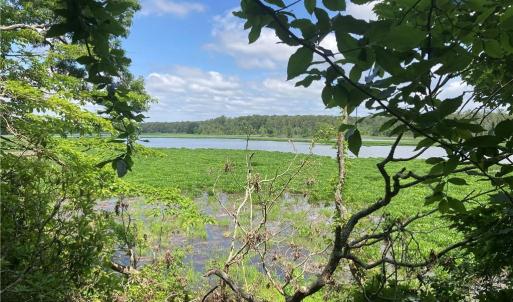 Photo #1 of 1850 John Tyler Highway, Williamsburg, Virginia 46.0 acres