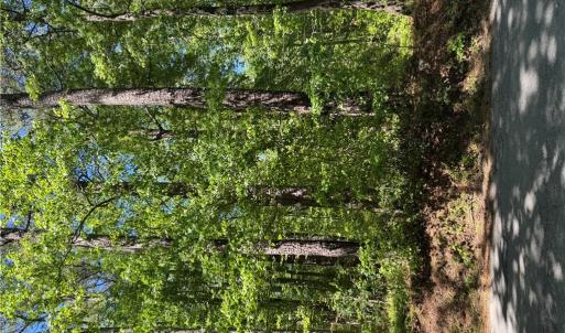 Photo #1 of Lot 80 Pughsville Road, Suffolk, Virginia 0.2 acres