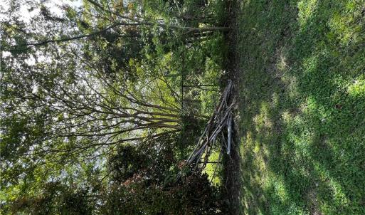 Photo #3 of 105 Prentiss Lane, Hampton, Virginia 0.5 acres