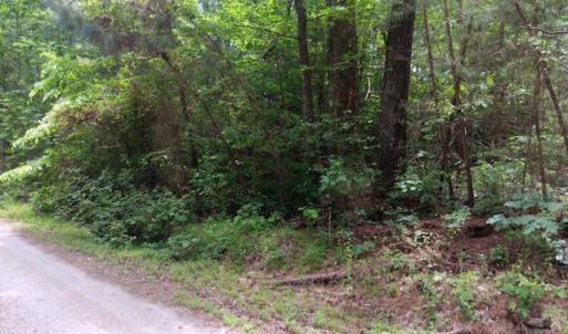 Photo #2 of 6.02ac Hickory Neck Road, Urbanna, Virginia 6.0 acres