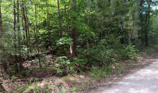 Photo #3 of 6.02ac Hickory Neck Road, Urbanna, Virginia 6.0 acres
