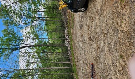Photo #4 of 7130 Sertoma Drive, Lanexa, Virginia 5.0 acres