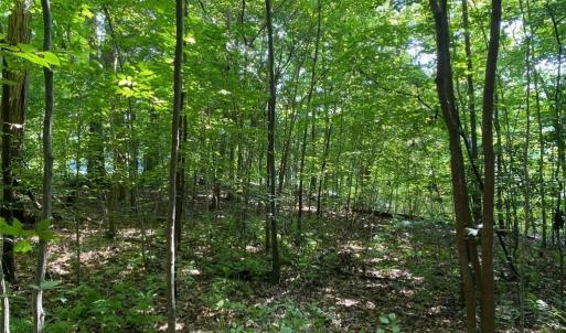 Photo #11 of 1 AC Breezy Cove, Gloucester, Virginia 1.0 acres
