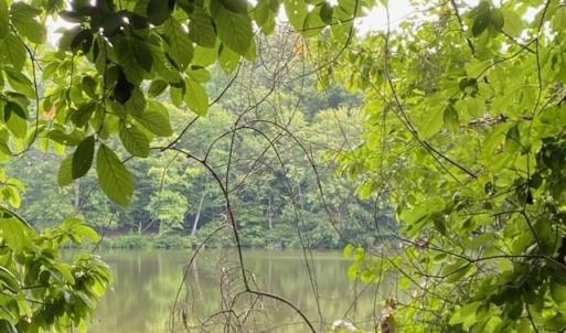Photo #3 of 1 AC Breezy Cove, Gloucester, Virginia 1.0 acres