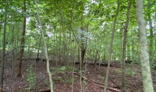 Photo #9 of 1 AC Breezy Cove, Gloucester, Virginia 1.0 acres