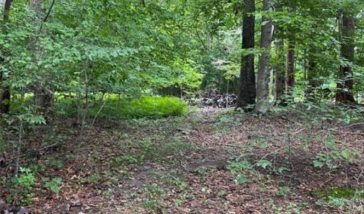 Photo #10 of 1 AC Breezy Cove, Gloucester, Virginia 1.0 acres