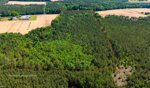 Photo #8 of 17.2AC Comans Well Road, Stony Creek, Virginia 17.2 acres