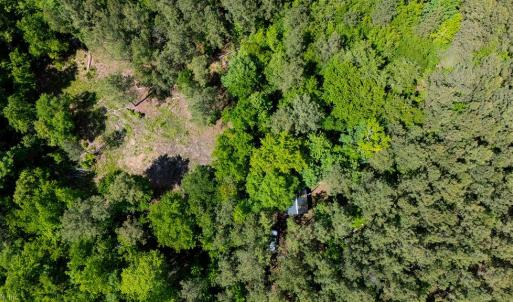 Photo #10 of 17.2AC Comans Well Road, Stony Creek, Virginia 17.2 acres