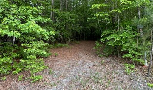 Photo #2 of Lot 12 Fox Chase Drive, Dendron, Virginia 5.6 acres